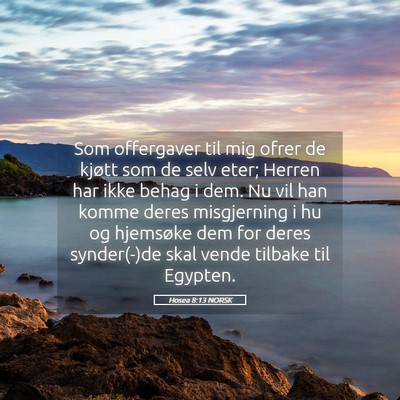Picture 05 - Hosea 8:13 NORSK - Som offergaver til mig ofrer de kjøtt som de - Bible Verse Picture