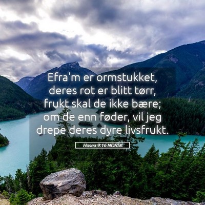 Picture 05 - Hosea 9:16 NORSK - Efra'm er ormstukket, deres rot er blitt tørr, - Bible Verse Picture