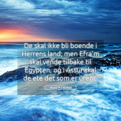 Picture 05 - Hosea 9:3 NORSK - De skal ikke bli boende i Herrens land; men - Bible Verse Picture