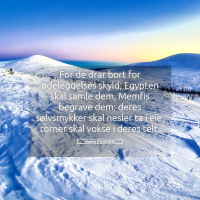 Picture 05 - Hosea 9:6 NORSK - For de drar bort for ødeleggelses skyld; Egypten - Bible Verse Picture
