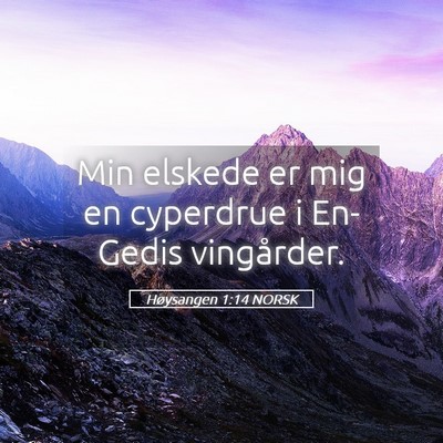 Picture 05 - Høysangen 1:14 NORSK - Min elskede er mig en cyperdrue i En-Gedis - Bible Verse Picture