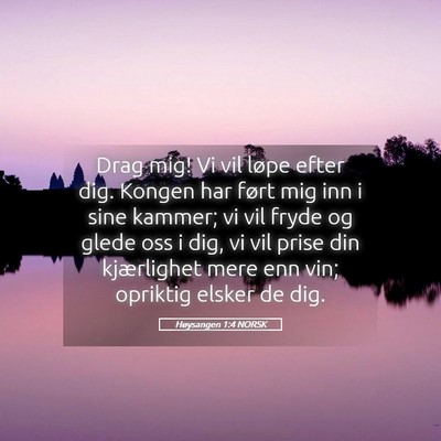 Picture 05 - Høysangen 1:4 NORSK - Drag mig! Vi vil løpe efter dig. Kongen har - Bible Verse Picture