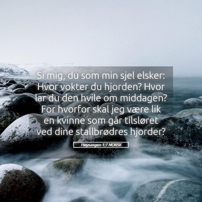 Picture 05 - Høysangen 1:7 NORSK - Si mig, du som min sjel elsker: Hvor vokter du - Bible Verse Picture