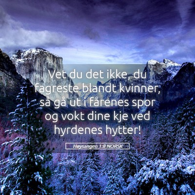 Picture 05 - Høysangen 1:8 NORSK - Vet du det ikke, du fagreste blandt kvinner, så - Bible Verse Picture