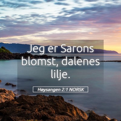 Picture 05 - Høysangen 2:1 NORSK - Jeg er Sarons blomst, dalenes - Bible Verse Picture