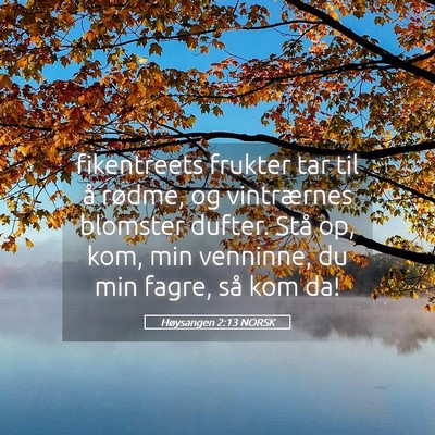 Picture 05 - Høysangen 2:13 NORSK - fikentreets frukter tar til å rødme, og - Bible Verse Picture
