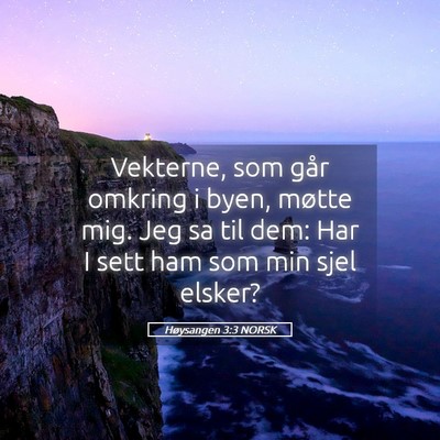 Picture 05 - Høysangen 3:3 NORSK - Vekterne, som går omkring i byen, møtte mig. - Bible Verse Picture