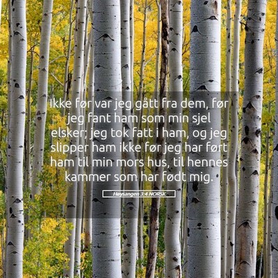 Picture 05 - Høysangen 3:4 NORSK - Ikke før var jeg gått fra dem, før jeg fant - Bible Verse Picture
