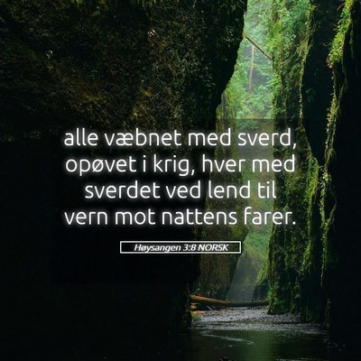 Picture 05 - Høysangen 3:8 NORSK - alle væbnet med sverd, opøvet i krig, hver med - Bible Verse Picture