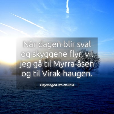 Picture 05 - Høysangen 4:6 NORSK - Når dagen blir sval og skyggene flyr, vil jeg - Bible Verse Picture