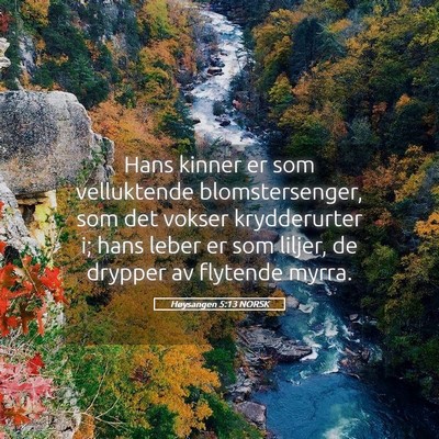 Picture 05 - Høysangen 5:13 NORSK - Hans kinner er som velluktende blomstersenger, - Bible Verse Picture