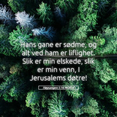Picture 05 - Høysangen 5:16 NORSK - Hans gane er sødme, og alt ved ham er liflighet. - Bible Verse Picture
