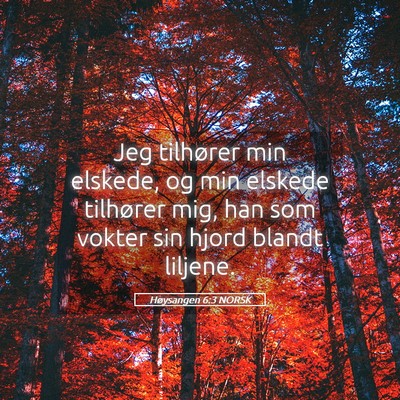 Picture 05 - Høysangen 6:3 NORSK - Jeg tilhører min elskede, og min elskede - Bible Verse Picture