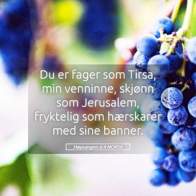Picture 05 - Høysangen 6:4 NORSK - Du er fager som Tirsa, min venninne, skjønn som - Bible Verse Picture