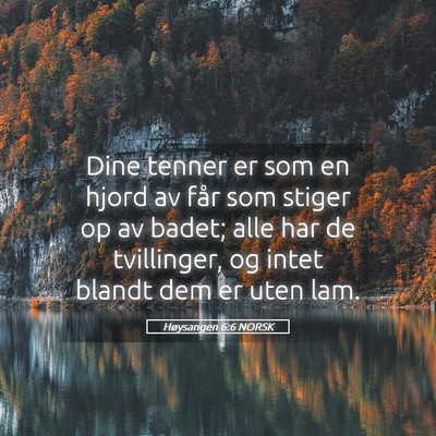 Picture 05 - Høysangen 6:6 NORSK - Dine tenner er som en hjord av får som stiger op - Bible Verse Picture