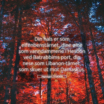 Picture 05 - Høysangen 7:4 NORSK - Din hals er som elfenbenstårnet, dine øine som - Bible Verse Picture