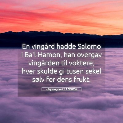 Picture 05 - Høysangen 8:11 NORSK - En vingård hadde Salomo i Ba'l-Hamon, han - Bible Verse Picture