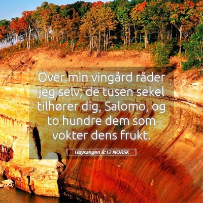 Picture 05 - Høysangen 8:12 NORSK - Over min vingård råder jeg selv; de tusen sekel - Bible Verse Picture
