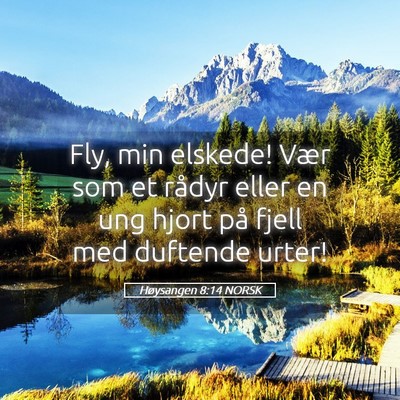 Picture 05 - Høysangen 8:14 NORSK - Fly, min elskede! Vær som et rådyr eller en ung - Bible Verse Picture