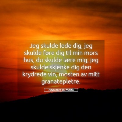 Picture 05 - Høysangen 8:2 NORSK - Jeg skulde lede dig, jeg skulde føre dig til min - Bible Verse Picture