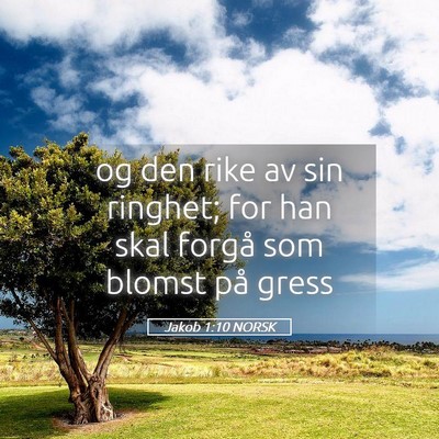 Picture 05 - Jakob 1:10 NORSK - og den rike av sin ringhet; for han skal forgå - Bible Verse Picture