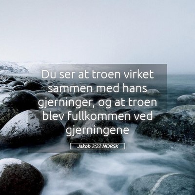 Picture 05 - Jakob 2:22 NORSK - Du ser at troen virket sammen med hans - Bible Verse Picture