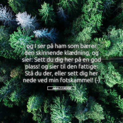 Picture 05 - Jakob 2:3 NORSK - og I ser på ham som bærer den skinnende - Bible Verse Picture