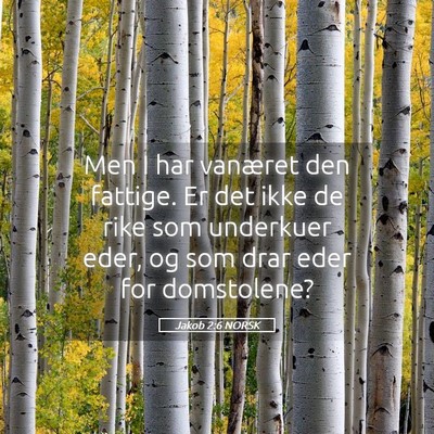 Picture 05 - Jakob 2:6 NORSK - Men I har vanæret den fattige. Er det ikke de - Bible Verse Picture
