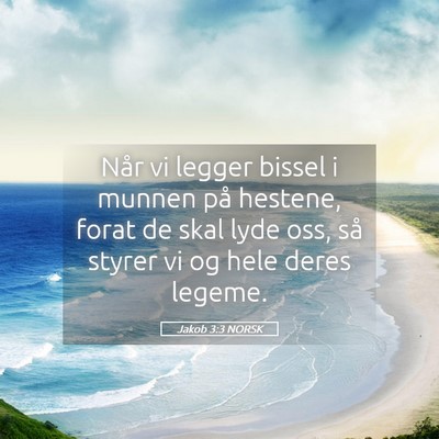 Picture 05 - Jakob 3:3 NORSK - Når vi legger bissel i munnen på hestene, forat - Bible Verse Picture