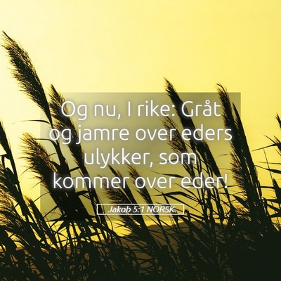 Picture 05 - Jakob 5:1 NORSK - Og nu, I rike: Gråt og jamre over eders ulykker, - Bible Verse Picture