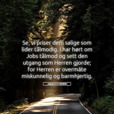 Picture 05 - Jakob 5:11 NORSK - Se, vi priser dem salige som lider tålmodig. I - Bible Verse Picture