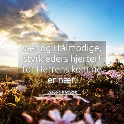 Picture 05 - Jakob 5:8 NORSK - vær og I tålmodige, styrk eders hjerter! for - Bible Verse Picture