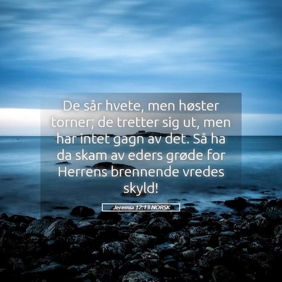 Picture 05 - Jeremia 12:13 NORSK - De sår hvete, men høster torner; de tretter sig - Bible Verse Picture