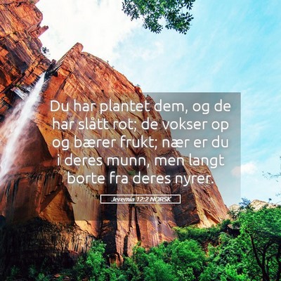 Picture 05 - Jeremia 12:2 NORSK - Du har plantet dem, og de har slått rot; de - Bible Verse Picture