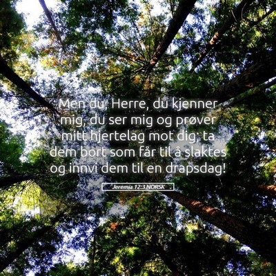 Picture 05 - Jeremia 12:3 NORSK - Men du, Herre, du kjenner mig, du ser mig og - Bible Verse Picture