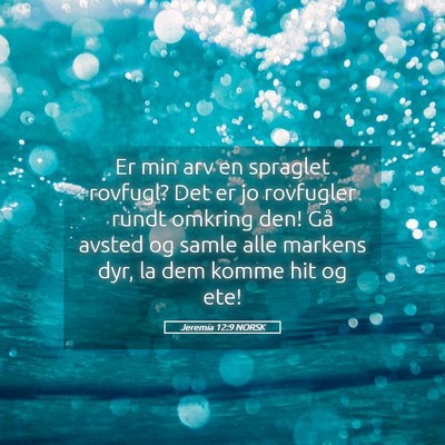 Picture 05 - Jeremia 12:9 NORSK - Er min arv en spraglet rovfugl? Det er jo - Bible Verse Picture