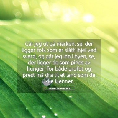 Picture 05 - Jeremia 14:18 NORSK - Går jeg ut på marken, se, der ligger folk som - Bible Verse Picture