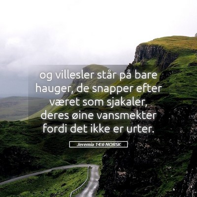 Picture 05 - Jeremia 14:6 NORSK - og villesler står på bare hauger, de snapper - Bible Verse Picture