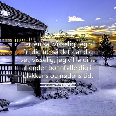 Picture 05 - Jeremia 15:11 NORSK - Herren sa: Visselig, jeg vil fri dig ut, så det - Bible Verse Picture