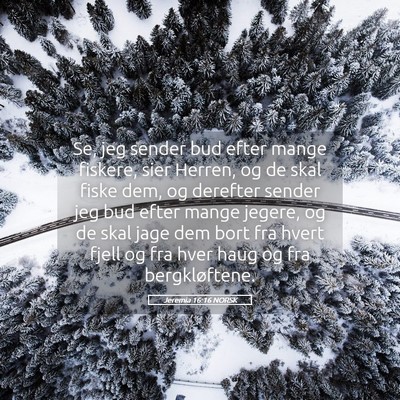 Picture 05 - Jeremia 16:16 NORSK - Se, jeg sender bud efter mange fiskere, sier - Bible Verse Picture