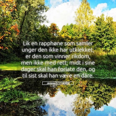 Picture 05 - Jeremia 17:11 NORSK - Lik en rapphøne som samler unger den ikke har - Bible Verse Picture