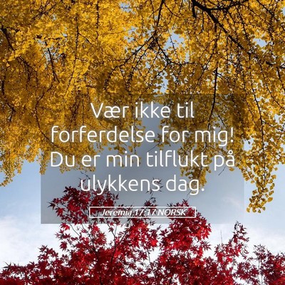 Picture 05 - Jeremia 17:17 NORSK - Vær ikke til forferdelse for mig! Du er min - Bible Verse Picture