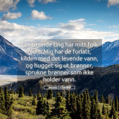 Picture 05 - Jeremia 2:13 NORSK - For to onde ting har mitt folk gjort: Mig har de - Bible Verse Picture