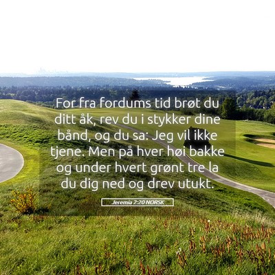 Picture 05 - Jeremia 2:20 NORSK - For fra fordums tid brøt du ditt åk, rev du i - Bible Verse Picture