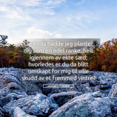 Picture 05 - Jeremia 2:21 NORSK - Og enda hadde jeg plantet dig som en edel ranke, - Bible Verse Picture