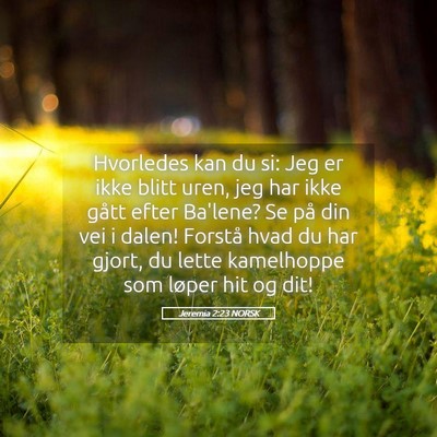 Picture 05 - Jeremia 2:23 NORSK - Hvorledes kan du si: Jeg er ikke blitt uren, jeg - Bible Verse Picture