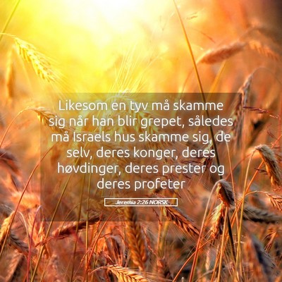 Picture 05 - Jeremia 2:26 NORSK - Likesom en tyv må skamme sig når han blir - Bible Verse Picture