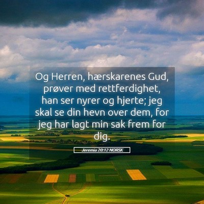 Picture 05 - Jeremia 20:12 NORSK - Og Herren, hærskarenes Gud, prøver med - Bible Verse Picture
