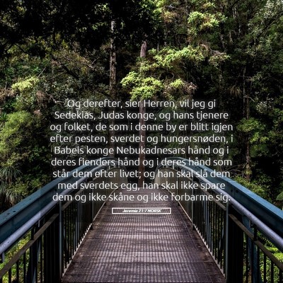 Picture 05 - Jeremia 21:7 NORSK - Og derefter, sier Herren, vil jeg gi Sedekias, - Bible Verse Picture