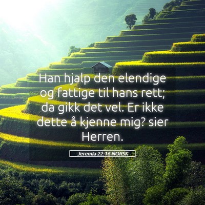 Picture 05 - Jeremia 22:16 NORSK - Han hjalp den elendige og fattige til hans rett; - Bible Verse Picture